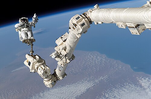 Space Station Remote Manipulator System